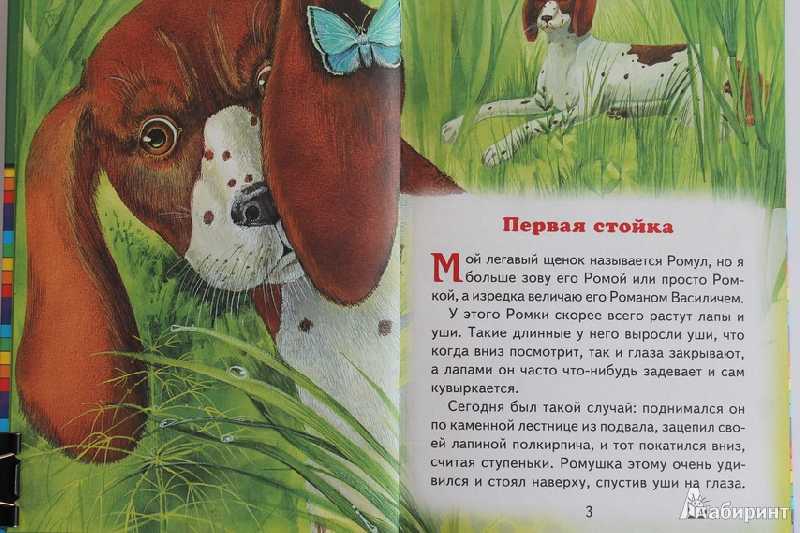 Лесной доктор. михаил пришвин