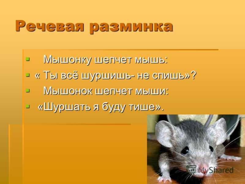 Смысл пословицы "кот из дома, мыши в пляс" в разных языках мира