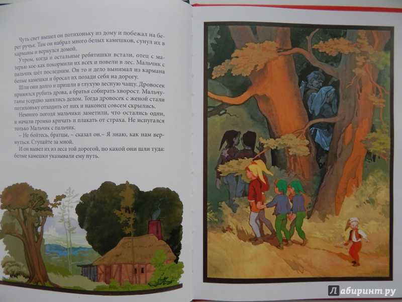 Сказка «мальчик-с-пальчик»: читательский дневник, краткое изложение произведения главные герои
