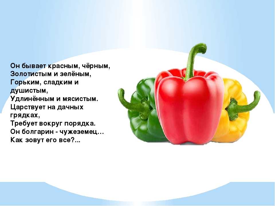 Загадки про сад и огород - педагог
