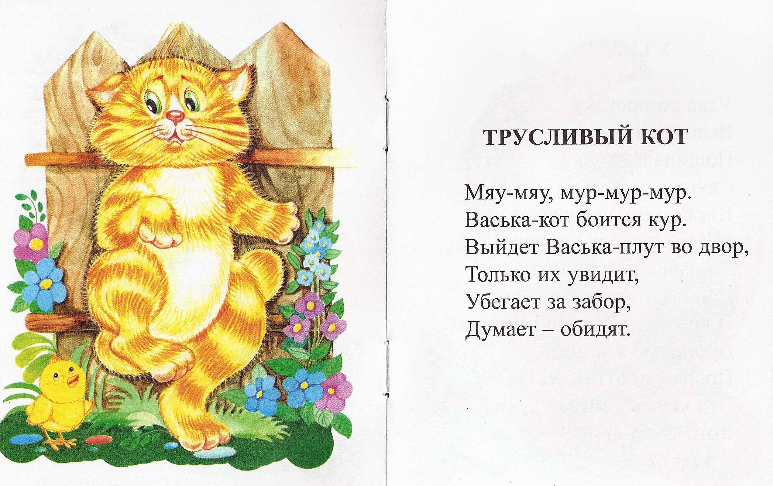 Стихи про котов и кошек для детей - стихи для детей
