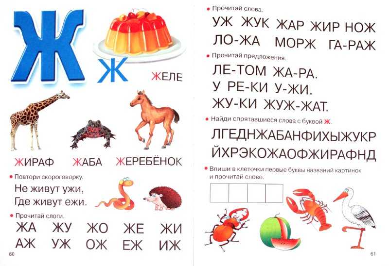Продукты на букву "ж": полезные и вкусные варианты