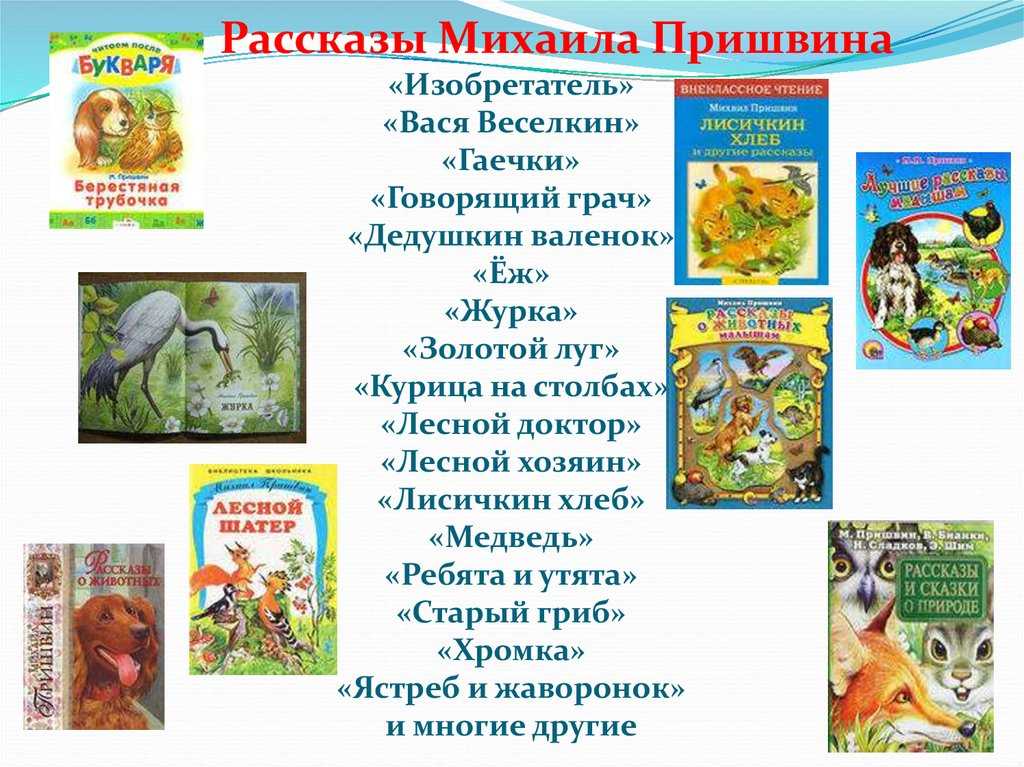 Один из видов синиц называется очень необычно - гайки А в рассказе об этих птицах МПришвин называет их ласково - гаечки Две гаечки так увлеклись