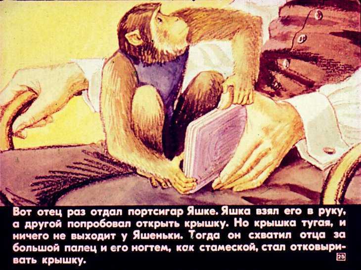 Привет мартышке