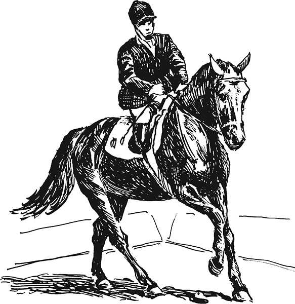 Произведение старая лошадь. Астафьев Старая лошадь иллюстрация. Лев Николаевич толстой езда верхом на лошади. Эскиз лошади в полный рост.