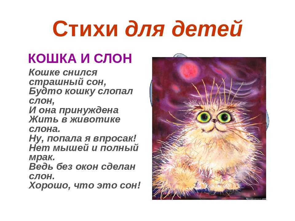 С есенин стих-послание сестре "ах, как много на свете кошек" с анализом и аудио  - блог stihirus24