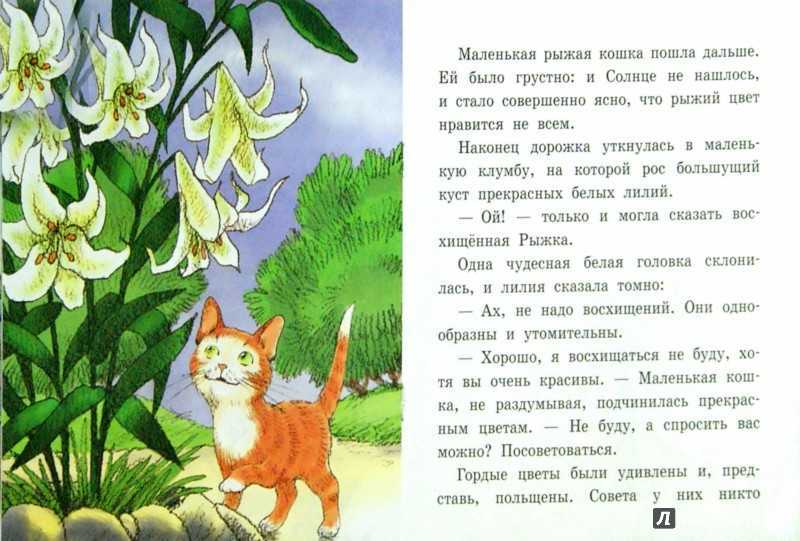 Наблюдение за радугой