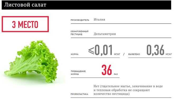Сколько весит салат. Салатные листья калории. Масса отходов листьев салата. Салат листовой вес. Салат листовой сколько грамм.