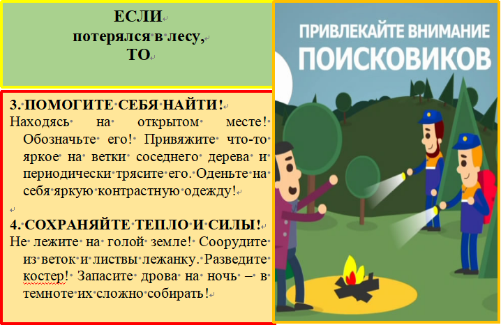 Конспект занятия по исследовательской деятельности с детьми старшего дошкольного возраста «почему у елки острые иголки»