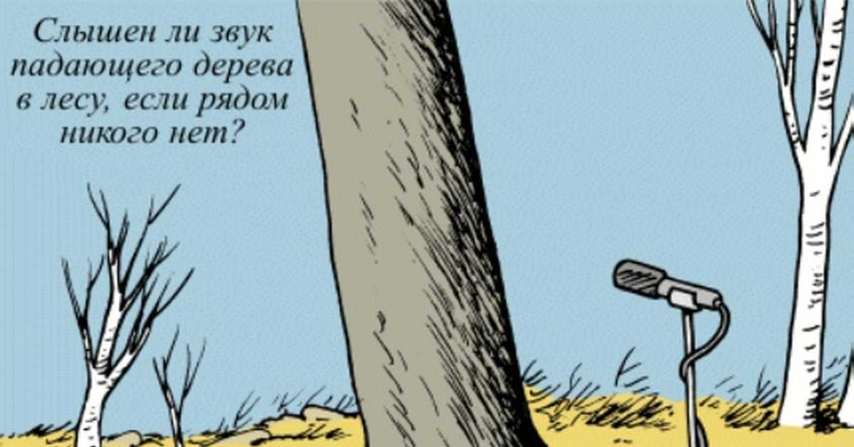 «жить вопреки всему»: 20 фотографий деревьев, которые выжили, несмотря ни на что