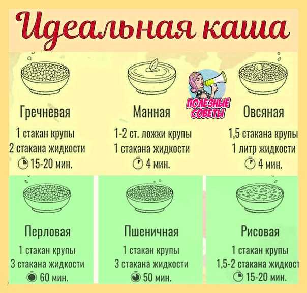 Викторина по произведениям н.н.носова - chvuz.ru