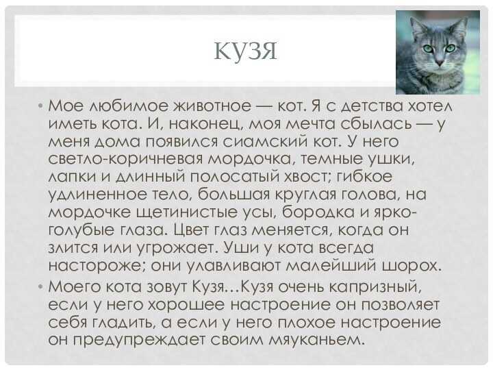 Кошка | котопедия | fandom