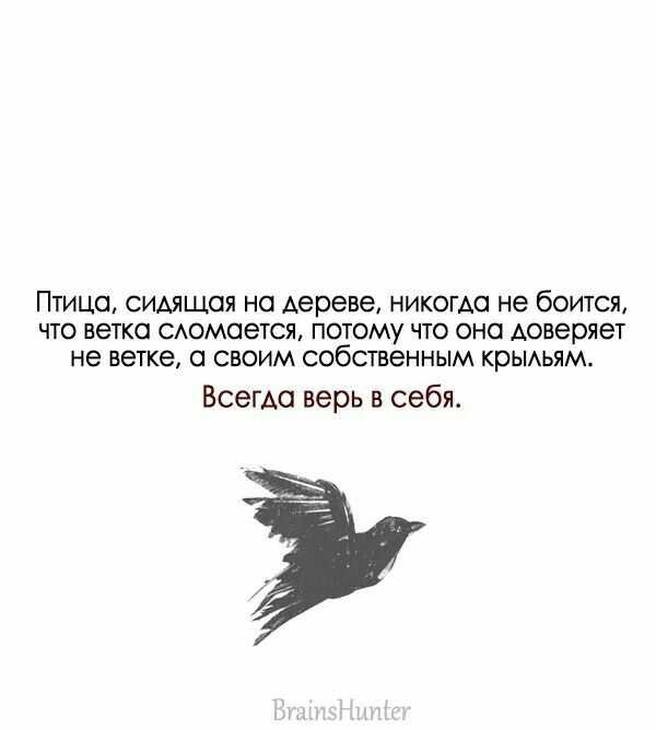 Орел орла плодит, а сова сову родит.