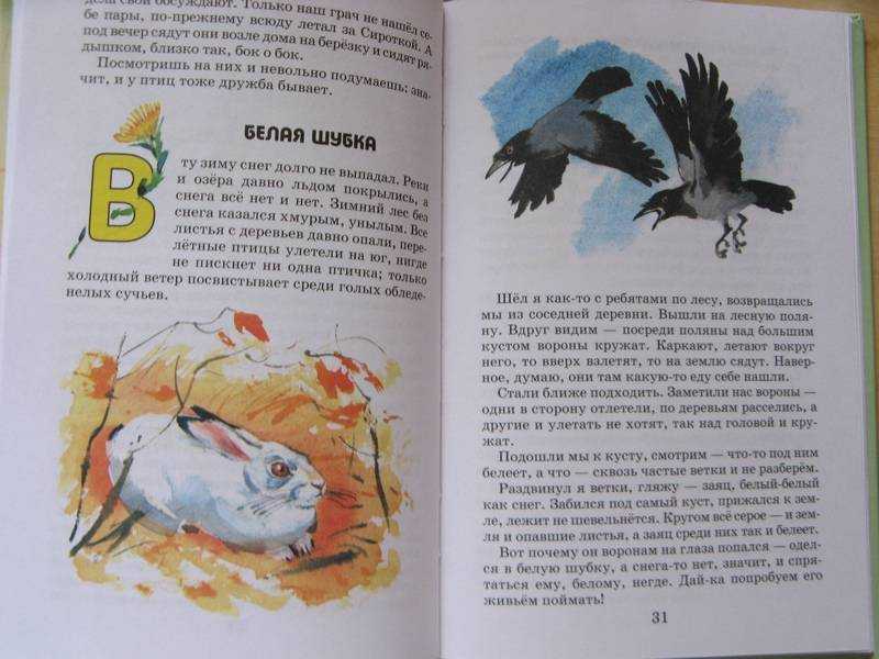 Рассказы о зиме для школьников 2-3 класса