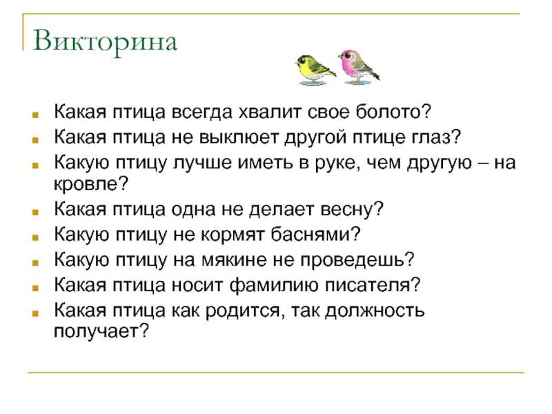 Конспект викторины о зимующих и перелётных птицах (для детей 5-6 лет)