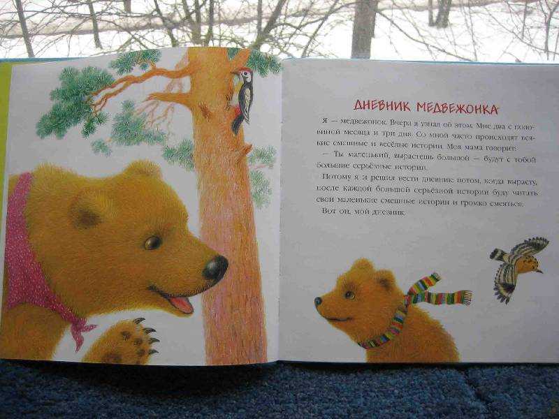 Цыферов как цыпленок впервые сочинил сказку читательский дневник краткое содержание