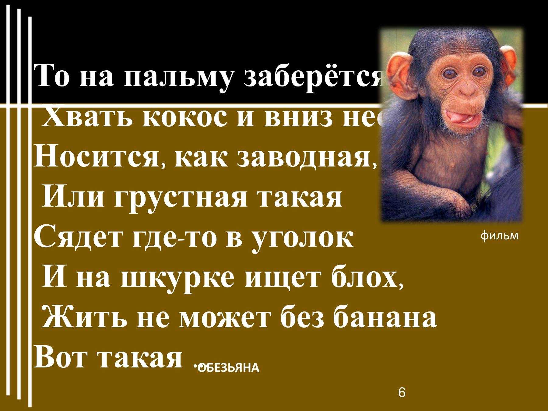 Обезьяна   высказывания великих людей