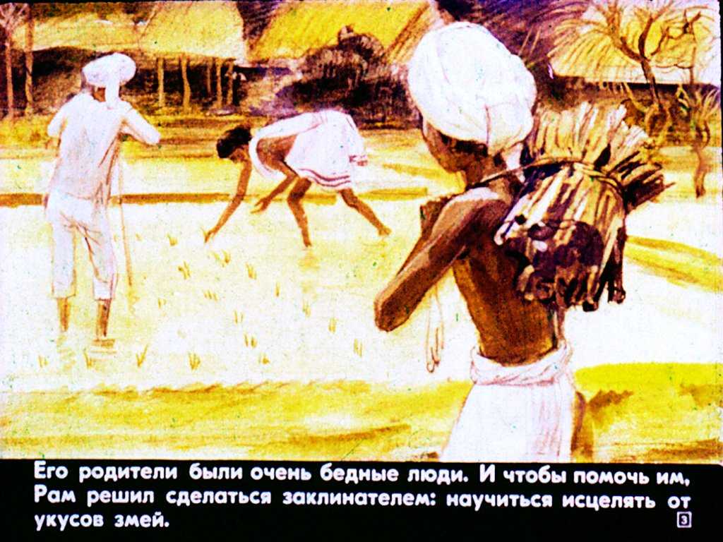 Заморыш : индийская народная сказка - индийские сказки