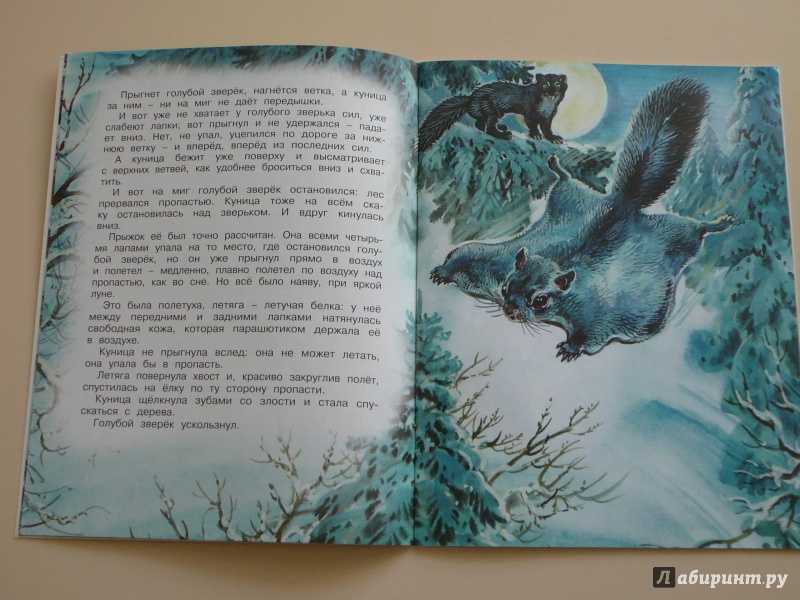 Голубой зверёк : сказка бианки в. в.