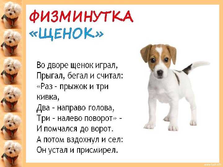 Рассказы льва толстого для детей 1 класса читать короткие