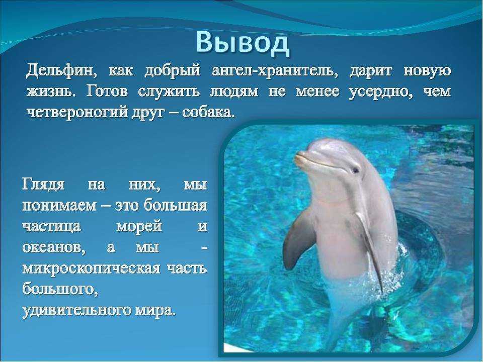 Сказки про звезды. сказка о маленькой звездочке