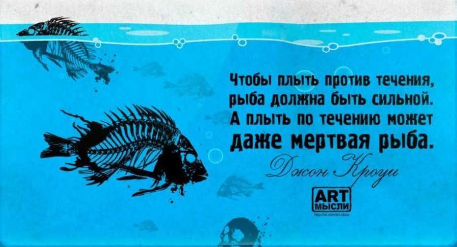 Как научиться плыть по течению и добиваться поставленных целей? советы психологов