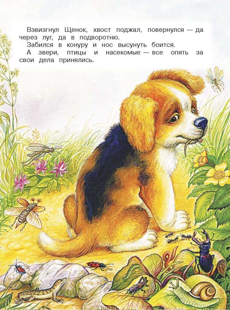 Мышонок пик