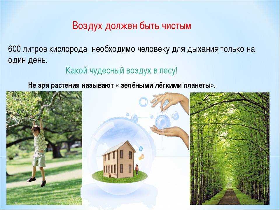 Чистота и порядок советских дворов