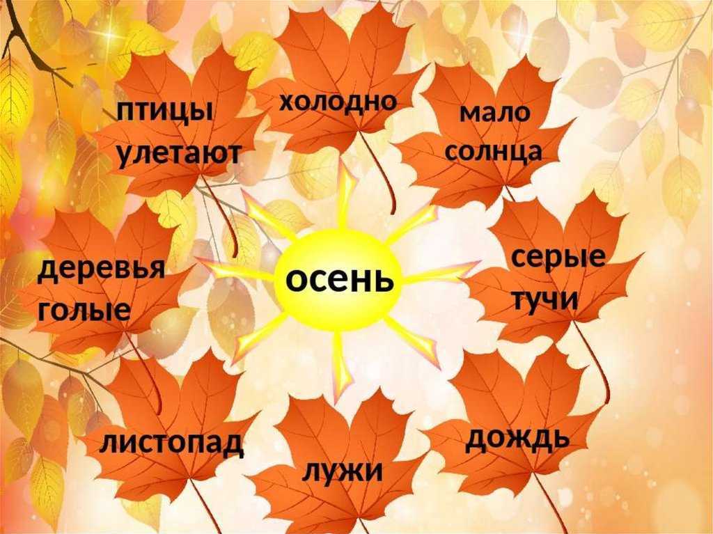 Осенние изменения в жизни растений. конспект экскурсии по биологии «осенние явления в жизни растений изменение жизни растений осенью