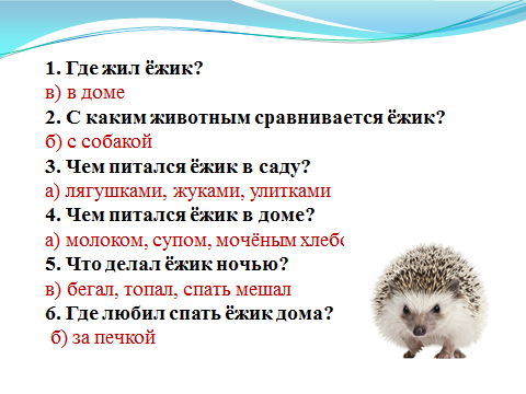 В центре внимания в рассказе Скребицкого Воришка - ручная белка, которая жила в доме, с людьми Казалось бы, зверек ручной, привыкший к тепличным условиям, но