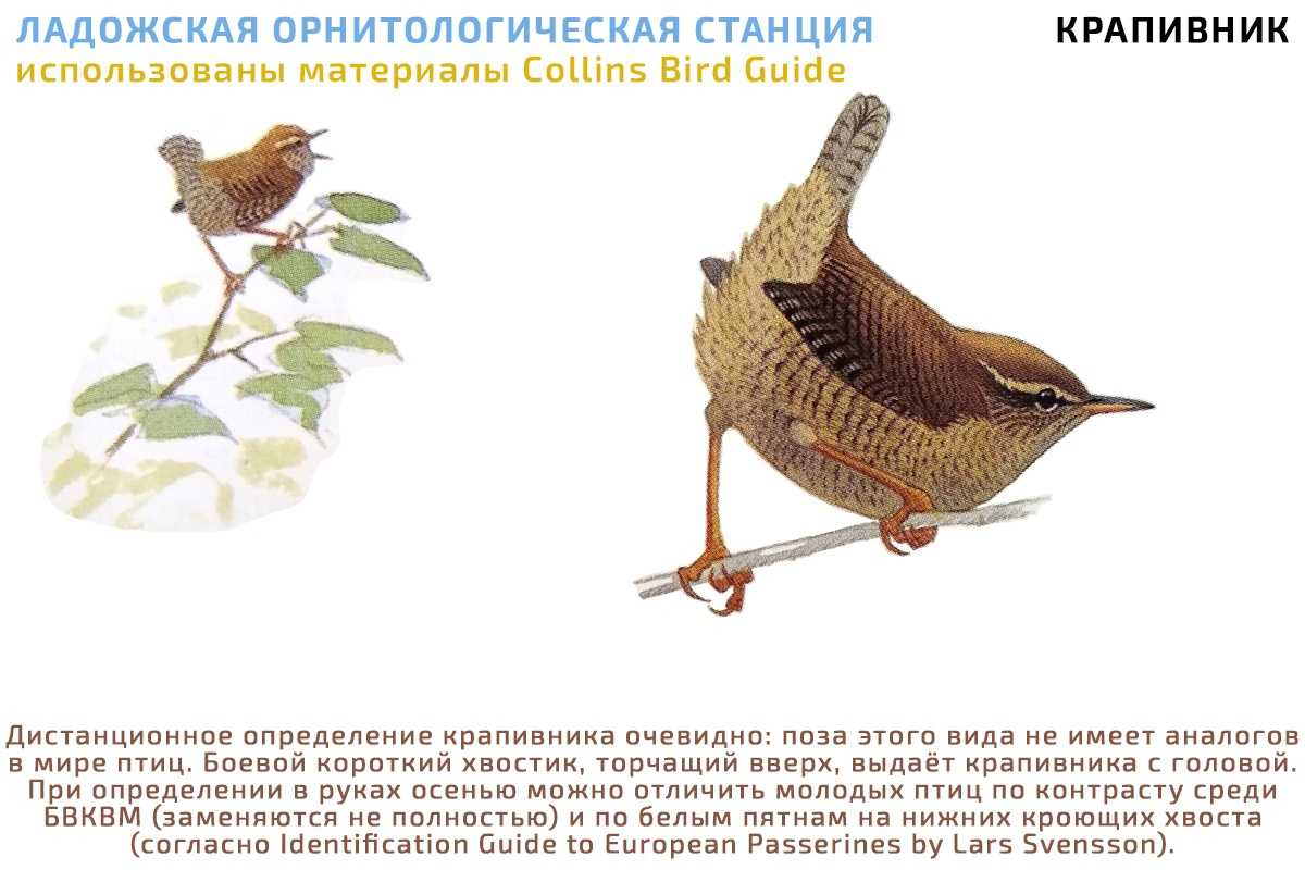 Рассказы про осень для школьников