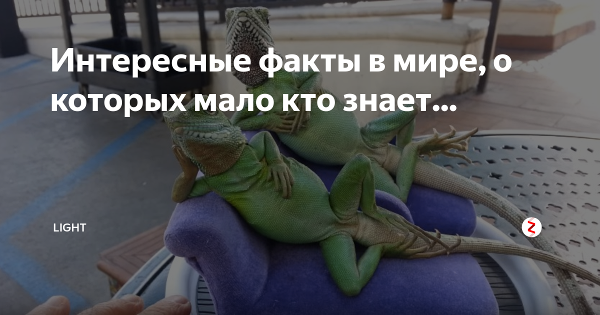 15 слов, значение которых мало кто знает • всезнаешь.ру