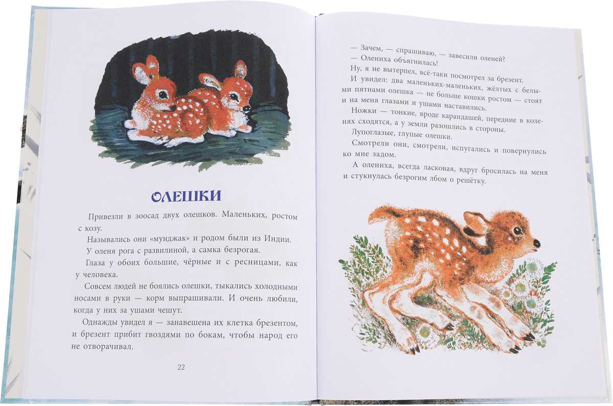Страшный рассказ - этнопедагогика. раннее детство
