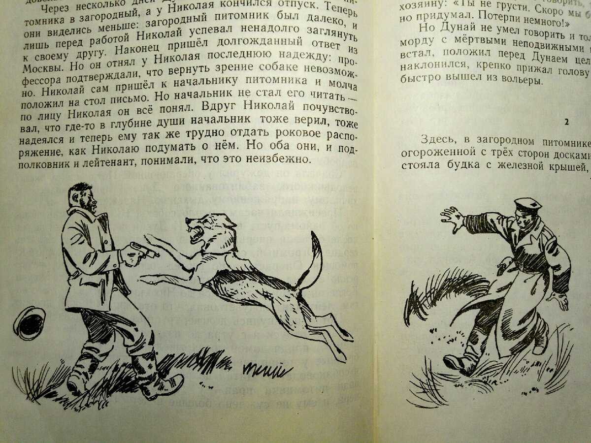 Дружище тобик краткое содержание