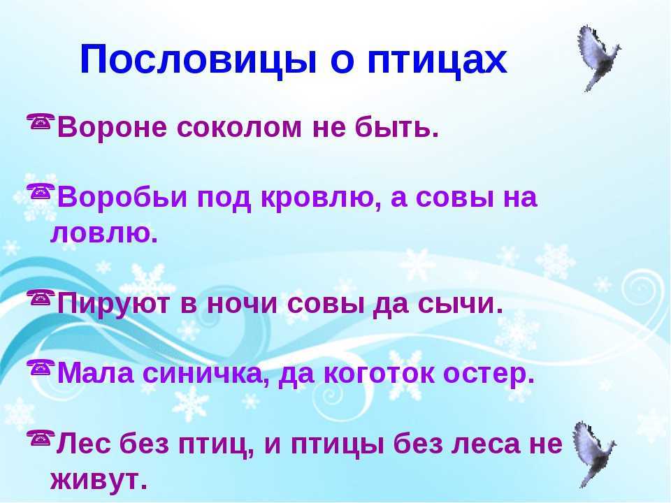 Пословицы и поговорки о животных для детей дошкольного возраста - педагог