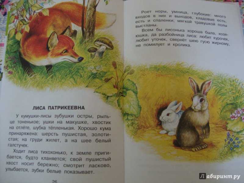 Краткое содержание как петух лису обманул