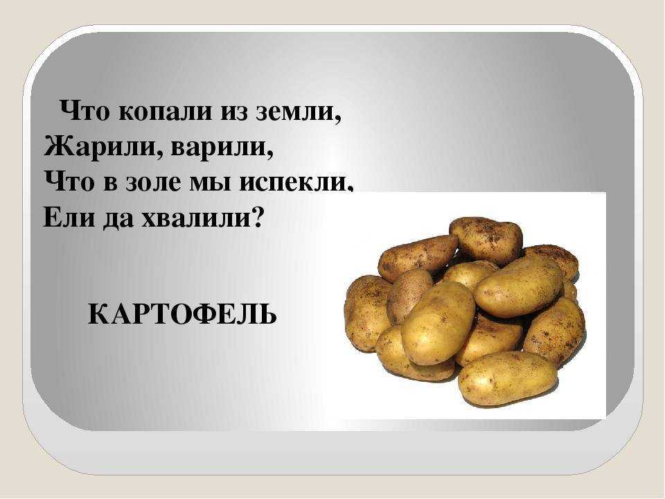 Краткое содержание «алые паруса»