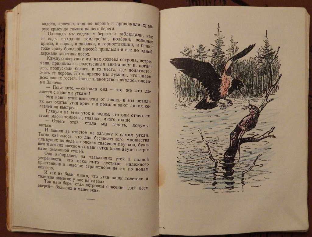 Моделирование паводков в красноярском крае