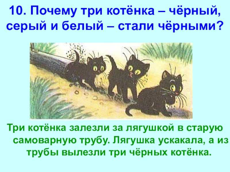 Сказка про котенка уголька читать детям