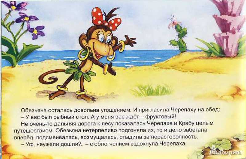 Орангутанг обезьяна. образ жизни и среда обитания орангутанга | живность.ру