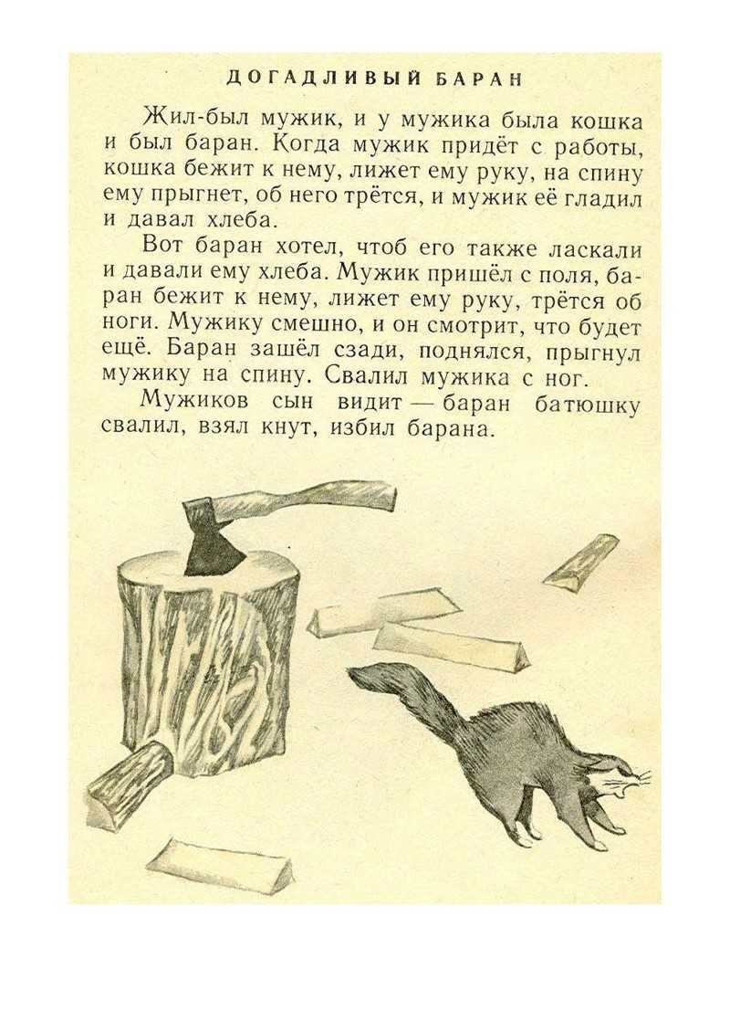 Какая мораль басни «лев и лисица» толстого и ее возможные толкования: эзоп, булгаков и доктор хаус