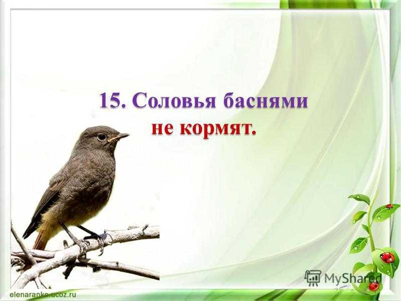 «соловья баснями не кормят» - значение пословицы
