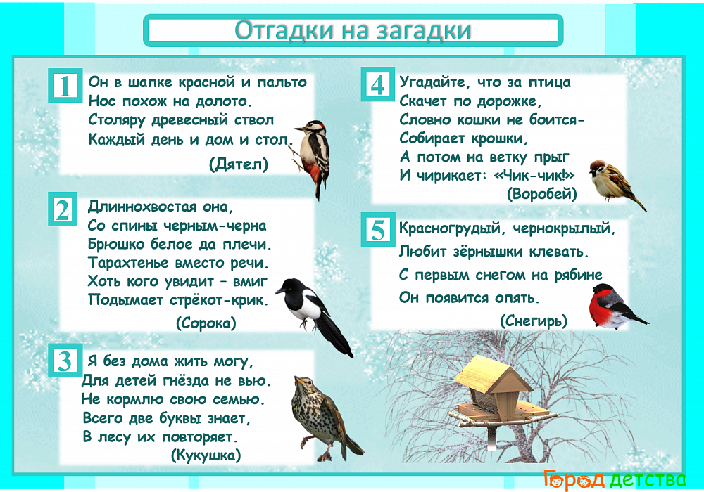 Рассказы про птиц для детей 4-5 лет в детском саду