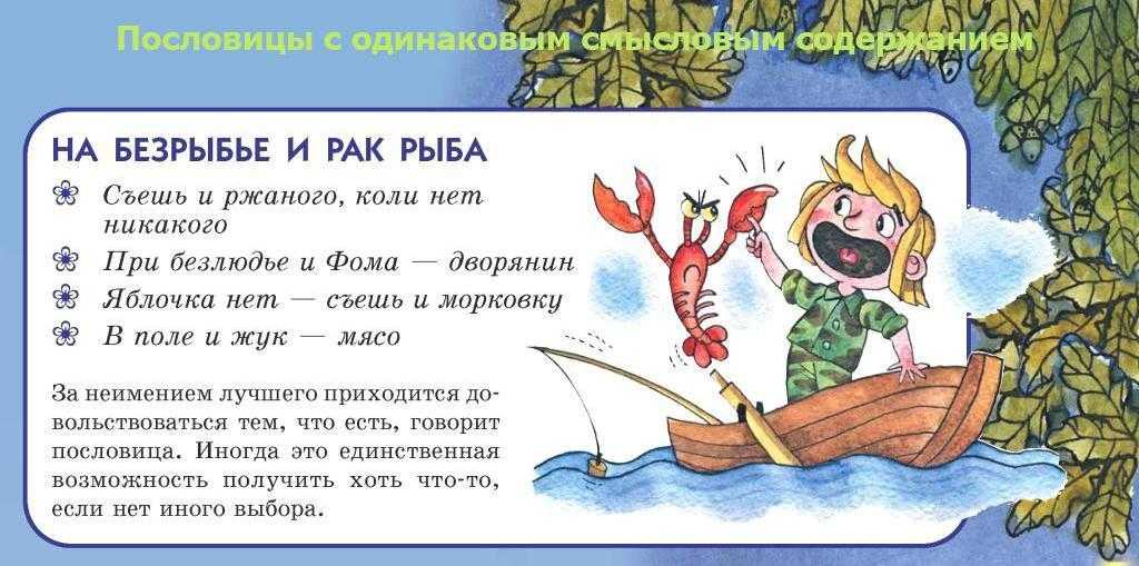 Неожиданное применение поговорок о зиме