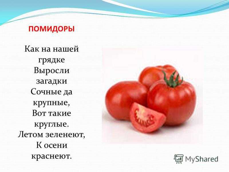 Короткая сказка про помидор 6 предложениях садик. рассказ про огород и особенно про помидоры. как выглядит помидор