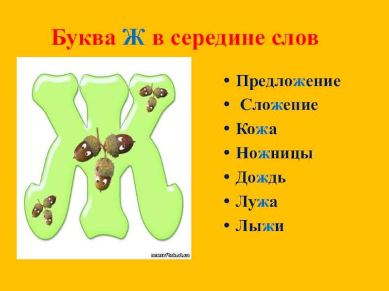 Кулинарный словарь ж — вкусные вкусности