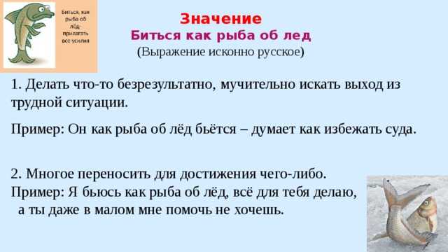 Загадки и пословицы о зиме | пословицы для детей