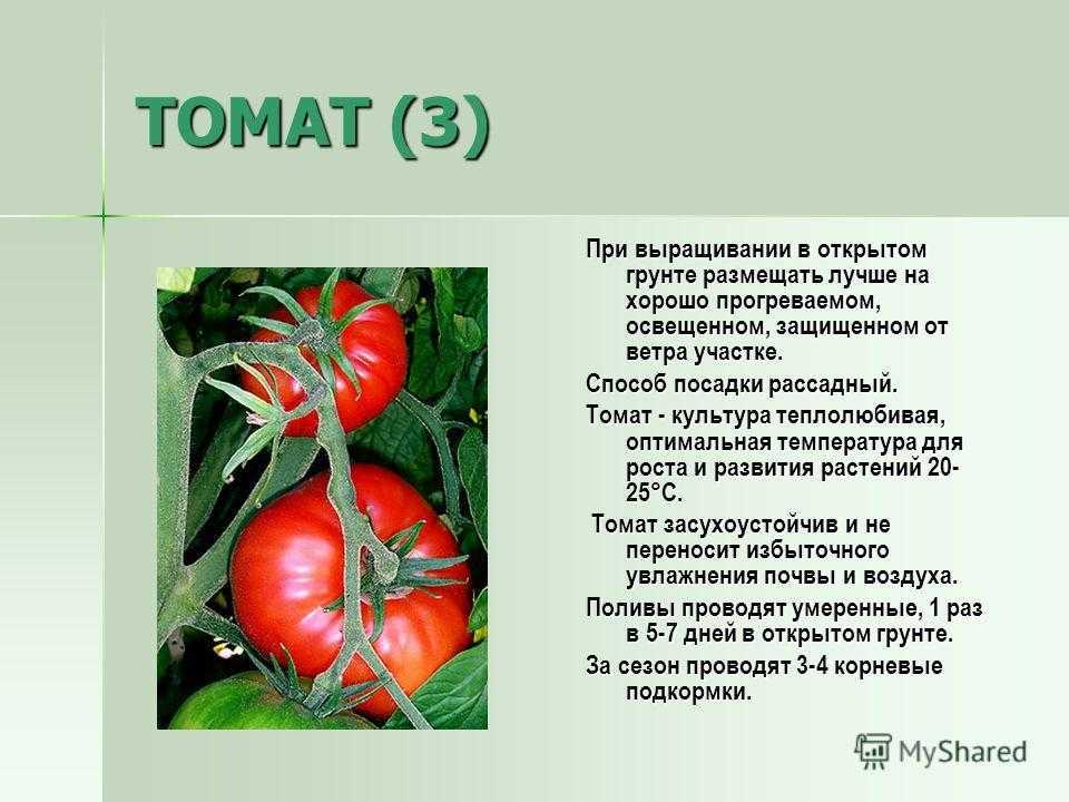 Анализ сказки приключения чиполлино родари