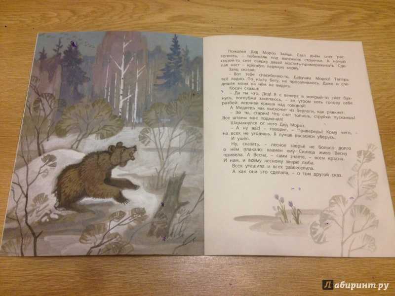 Читать сказку сказки-несказки: заяц, косач, медведь и дед мороз - виталий бианки, онлайн бесплатно с иллюстрациями.