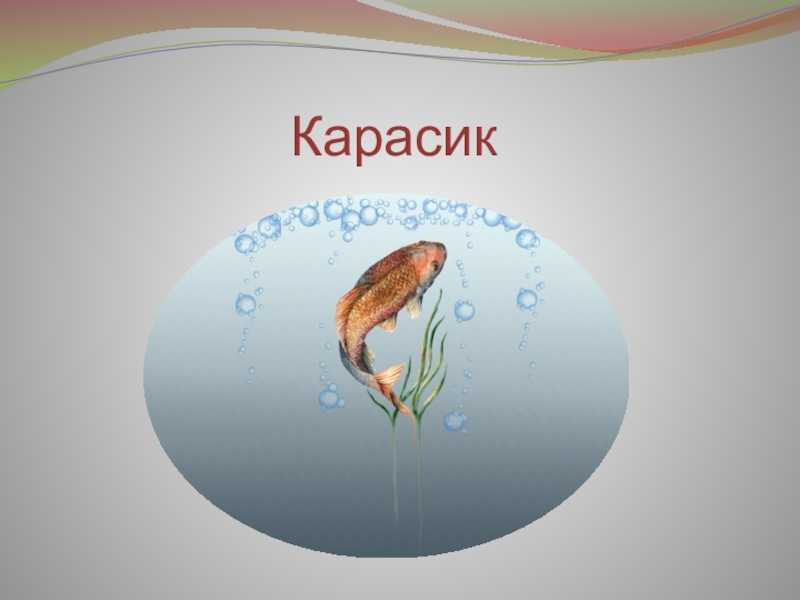 Носов н. н. – карасик